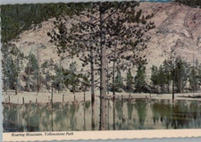 Roaring Mountain Yellowstone