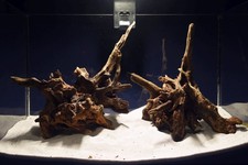 Aquarium Wurzel - SET / Scaperholz Slim Wood / Aquarium Deko / Aquascaping #305