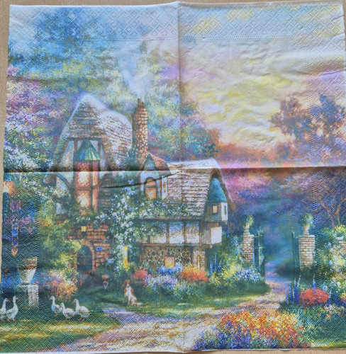 Lunch papier serviette - 1,