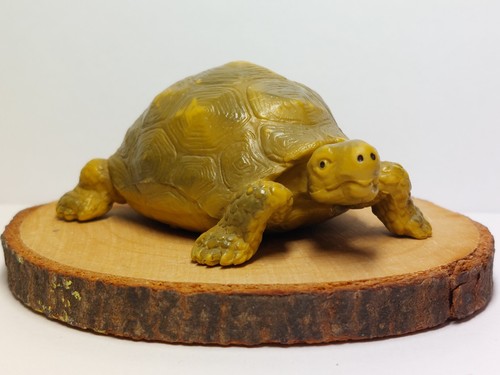 Schleich schildkröte - schleich,