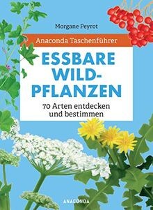 Anaconda taschenführer - anaconda,