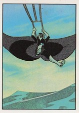 169 # Panini Captain Future (