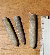 Belemnit Donnerkeil  3 Stück