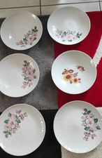 6 Stk. Kahla Henneberg 2 flache und 4 tiefe Teller 24cm Blumen Dekor