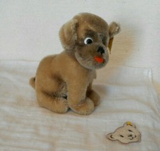 Steiff Hund Mops "Mopsy"