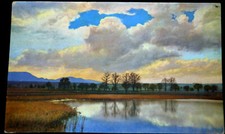 55542 AK Photochromie  Oybin und Umgebung Zittauer Gebirge Serie 213 Nr.3539