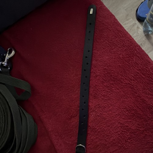 Hunter hundehalsband leder - hundehalsband,