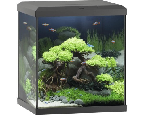 Aquarium juwel vio cube l - cube, 54