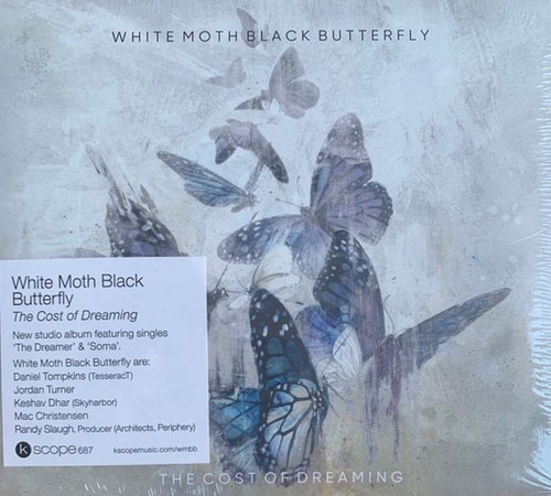 White moth black - white,