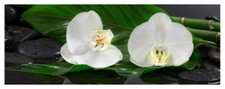 Glasbild 30x80cm wandbild aus - glasbild,