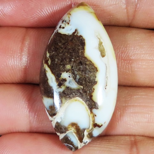 Natürlich fossil druzy - natürlich,