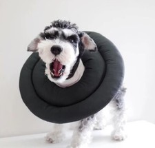 Weiche halskrause für hunde - für,