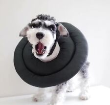 Weiche Halskrause für Hunde  – Komfortabler Schutzkragen für Genesung