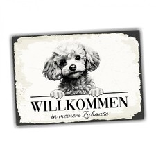 Hundeschild Willkommen Zuhause