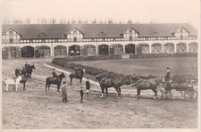 Marstall Fürstenstein - Waldenburg / Wałbrzych - Niederschlesien - Reprint 60er