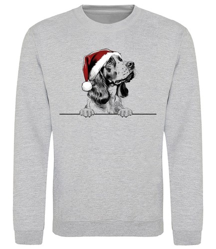 Welsh springer spaniel - welsh,