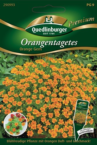 Orangen tagetes orange gem - orangen-tagetes,
