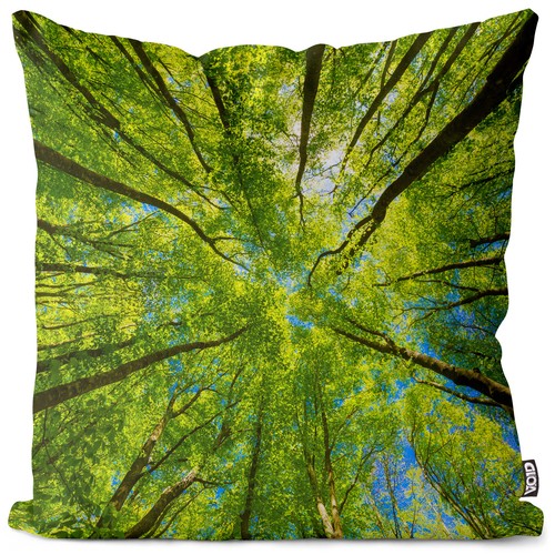 Bäume wald natur wälder - bäume,