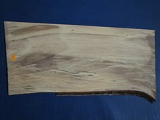 Walnussbaum verstockt Furnier