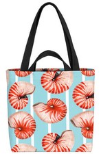 Nautilusmuschel Muschel Meer