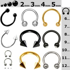 Circular Barbell Hufeisen