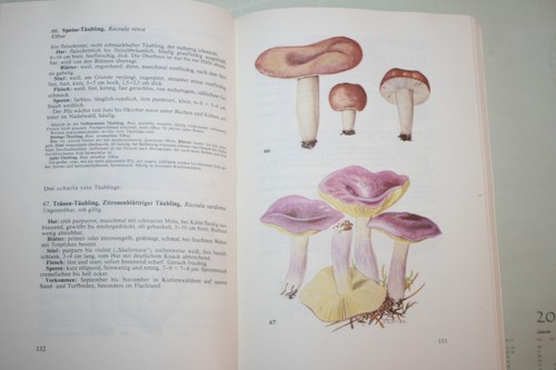 Taschenbuch für pilzsammler - taschenbuch,