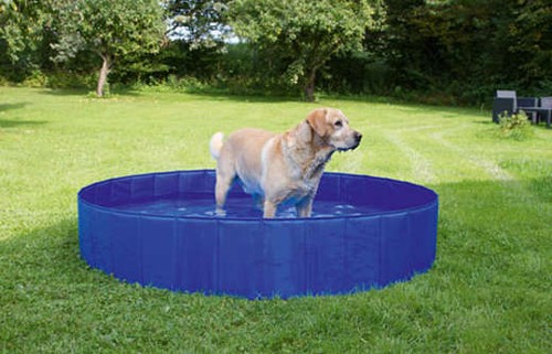 Hundepool planschbecken - hundepool,