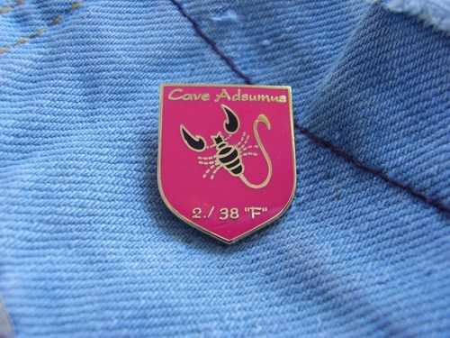 Pin bundeswehr - pin, 2