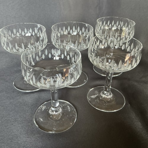 Vintage sekt aperitif - vintage,