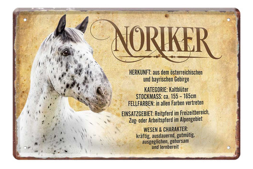 Noriker 20x30cm - , ''noriker''