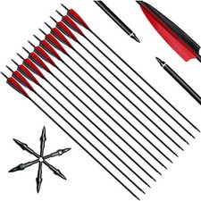 Bogenpfeile 12er Carbon 31