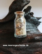 Dekorative Flasche mit Muscheln, Sand & Korkverschluss Länge ca. 4,5 cm Ø: 2 cm