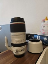 Canon RF 100-500 F4,5-7,1L IS