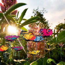 Bunte garten schmetterlings - bunte,