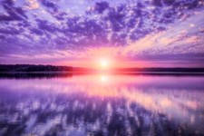 Wandbild: Farben des Jahres