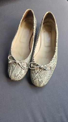 Ballerinas von andrea puccini - ballerinas,