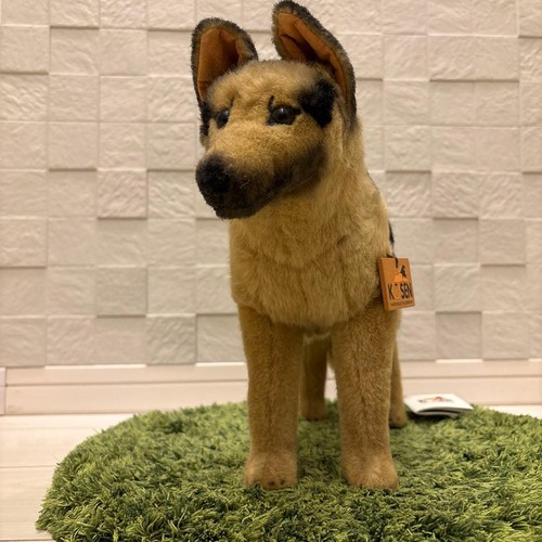 Kösen deutscher schäferhund - kösen,