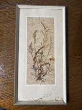 Original Herbarium –