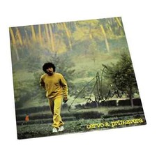 Riccardo Cocciante Cervo A