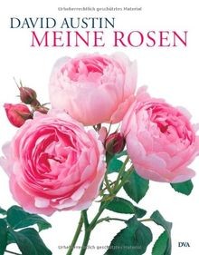 Meine rosen von david austin - david,