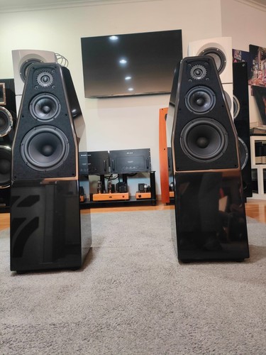 Wilson audio sabrina paar - sabrina, x