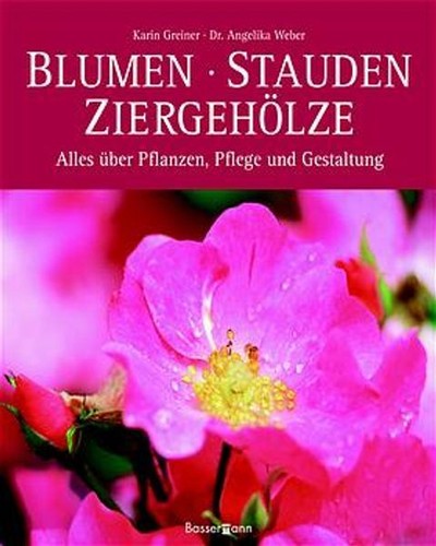 Blumen stauden ziergehölze - blumen,, stauden,