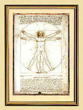 Vitruvianischer Mensch Leonardo da Vinci Alte Meister A3 29 Gerahmt
