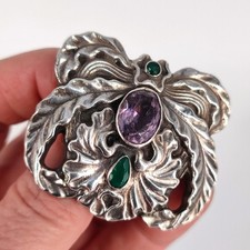 „Verborgene Schönheit“