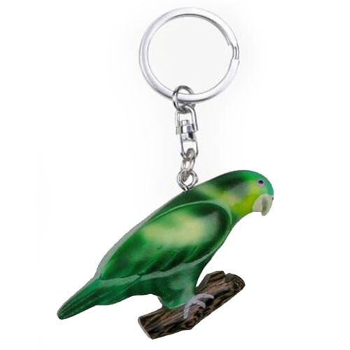 Papagei vogel grün sittich - papagei,