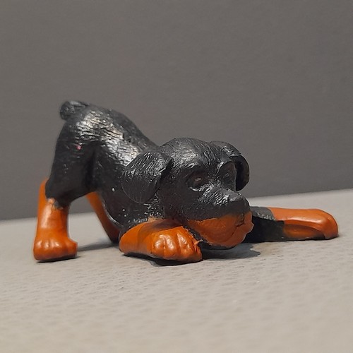 Vintage rottweiler welpe - rottweiler,