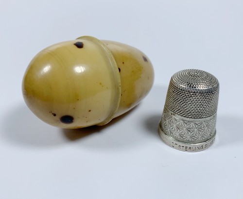 Antiker nuss gemüse eichel - gemüse,