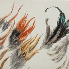 Aquarell hahnenfedern bunte - aquarell,