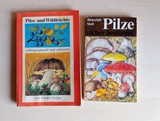 DDR Pilzbuch 1981 Pilze sicher