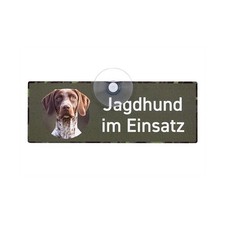 Deutsch Kurzhaar Braunschimmel